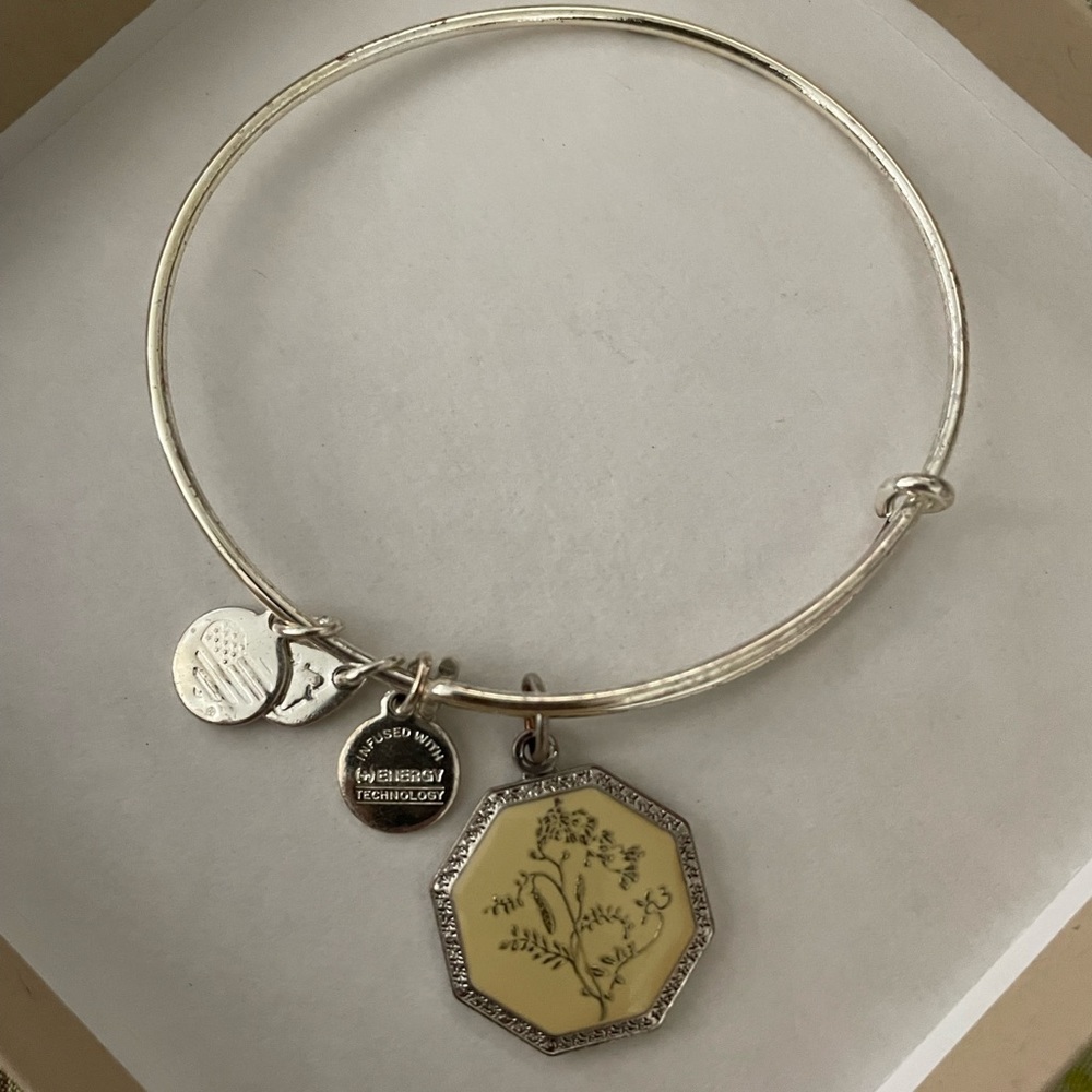 Alex and Ani Bangle